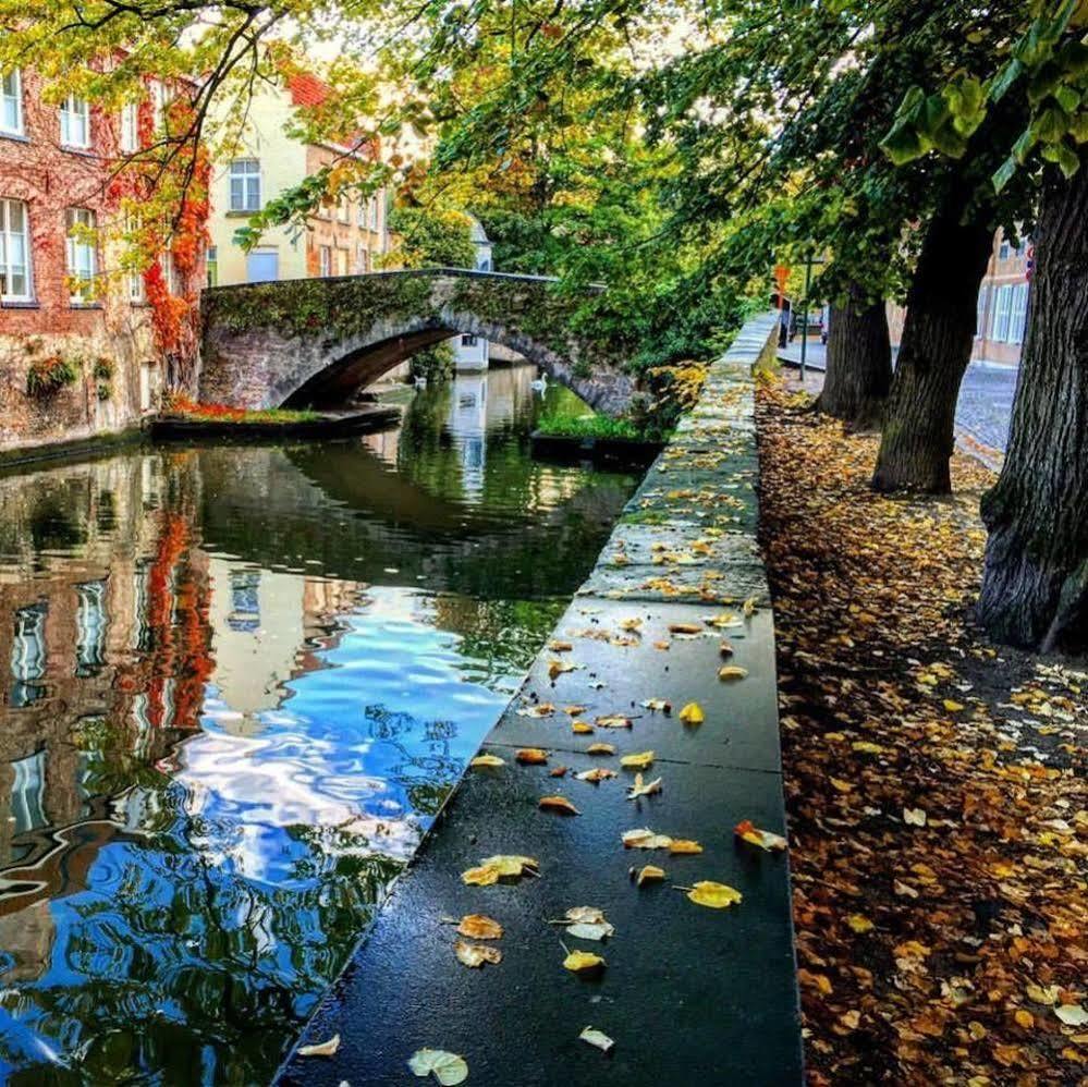Guesthouse Dijver - Serene Escape In The Heart Of Historic Brugge Eksteriør billede
